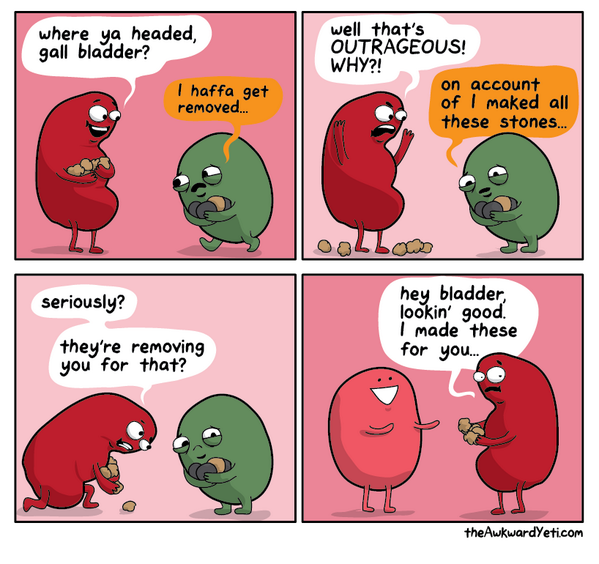 gallbladder-kidney-stones-removal-funny