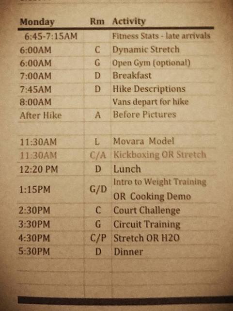 Day 1 Program. Newbies had to do Movara Model (lecture) and the Intro to Weight Training (instructional).